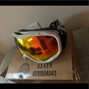 ski/snowboard goggles